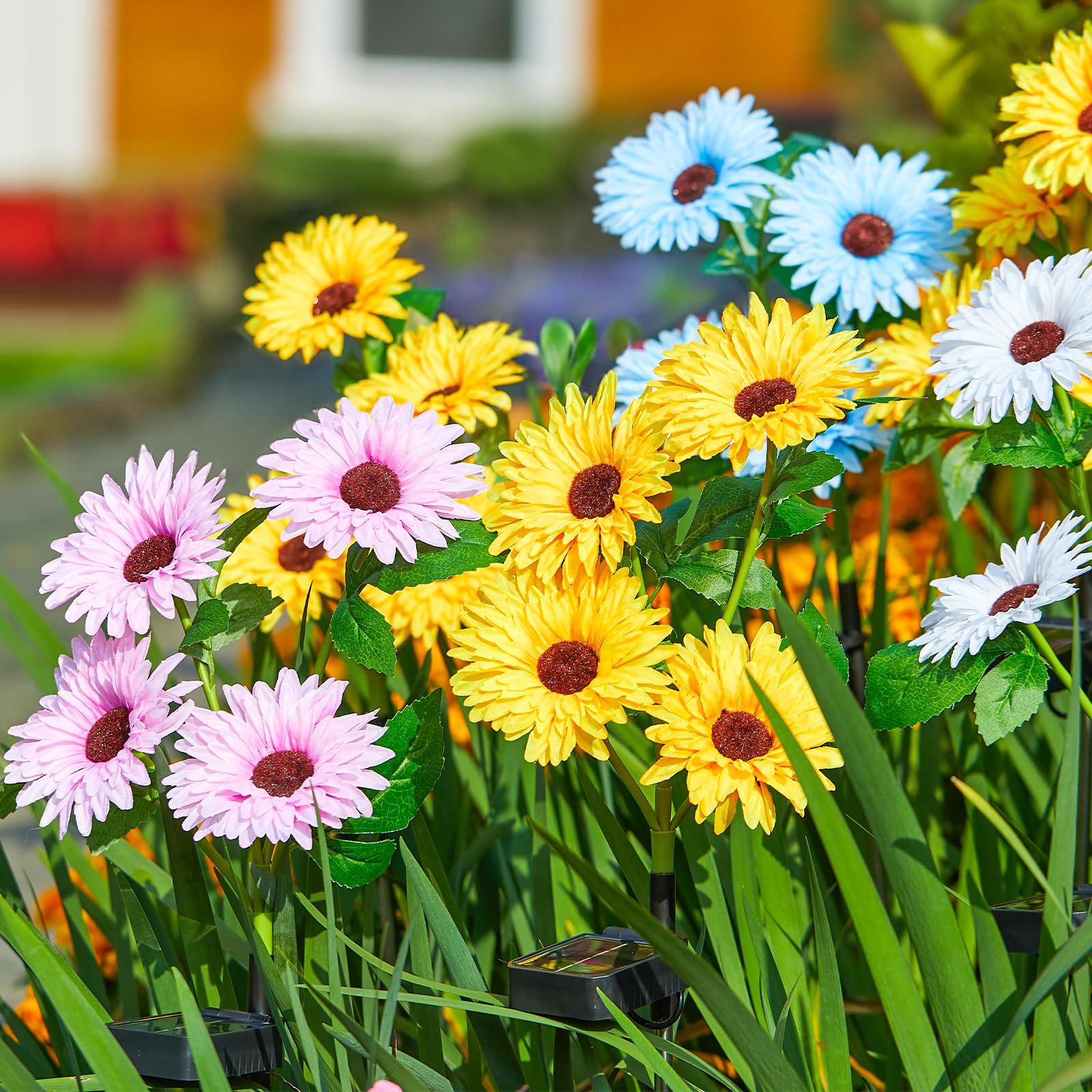 Solar-Gartenleuchten für den A – Outdoor Lighting Pathway Bewertung und Preis