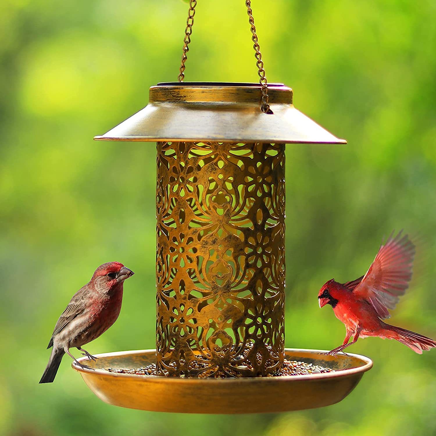 Hängendes Vogelhäuschen aus Me – Outdoor Lighting Ideas For Backyard Bewertung und Preis